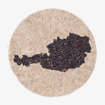 Austria country shape made with seeds. They start to grow when you water them