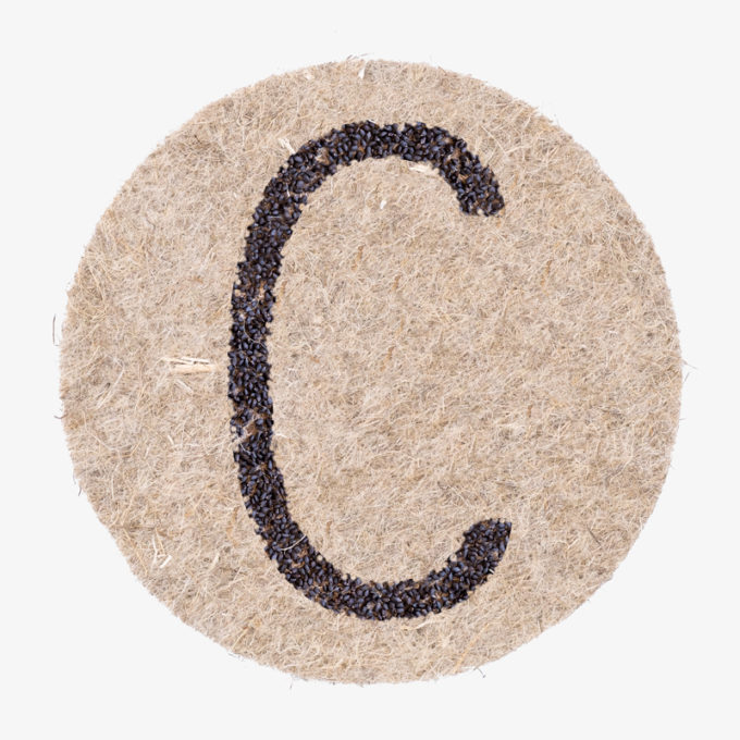 Seed letter C with plant seeds to grow