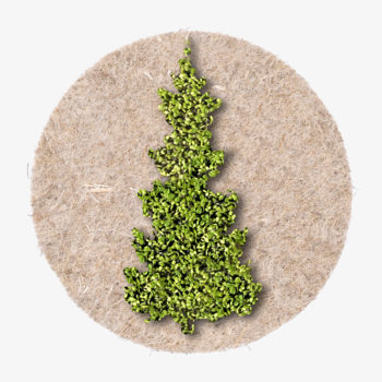 christbar tree from growing cress plants. gift for Christmas