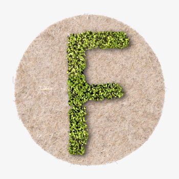 Buchstabe F aus wachsenden Pflanzen