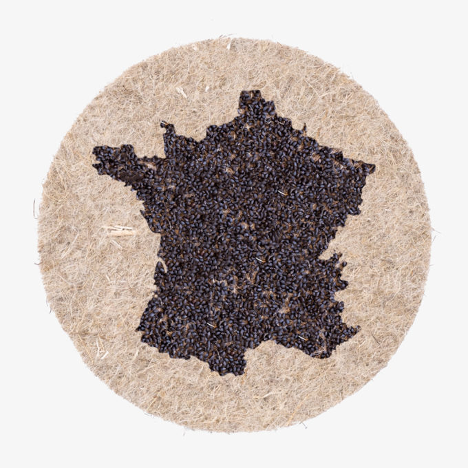 France country shape with seeds applied to hemp fibre pads. watering and growing