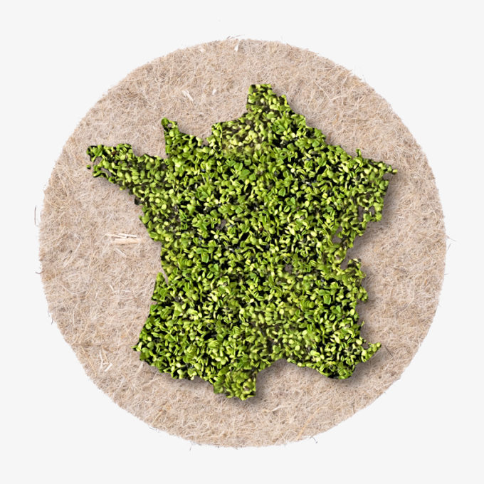 France shape out of green cress. Growing country shape