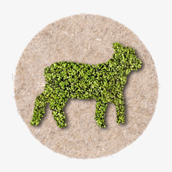 Osterlamm aus wachsenden pflanzen