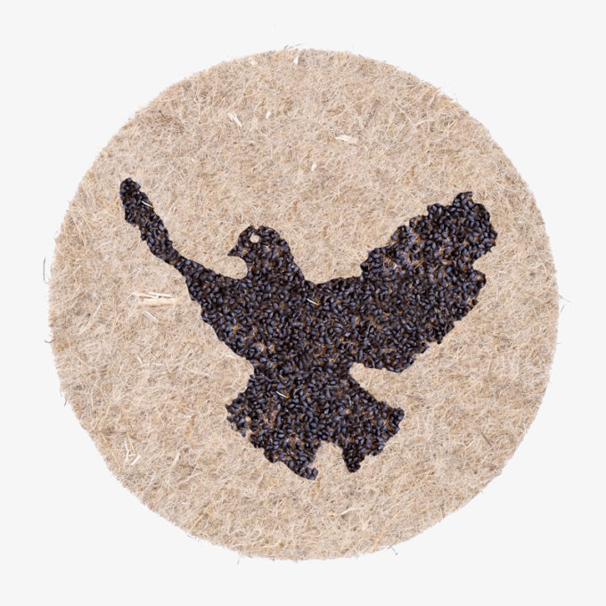 dove-of-peace made with plant seeds to grow