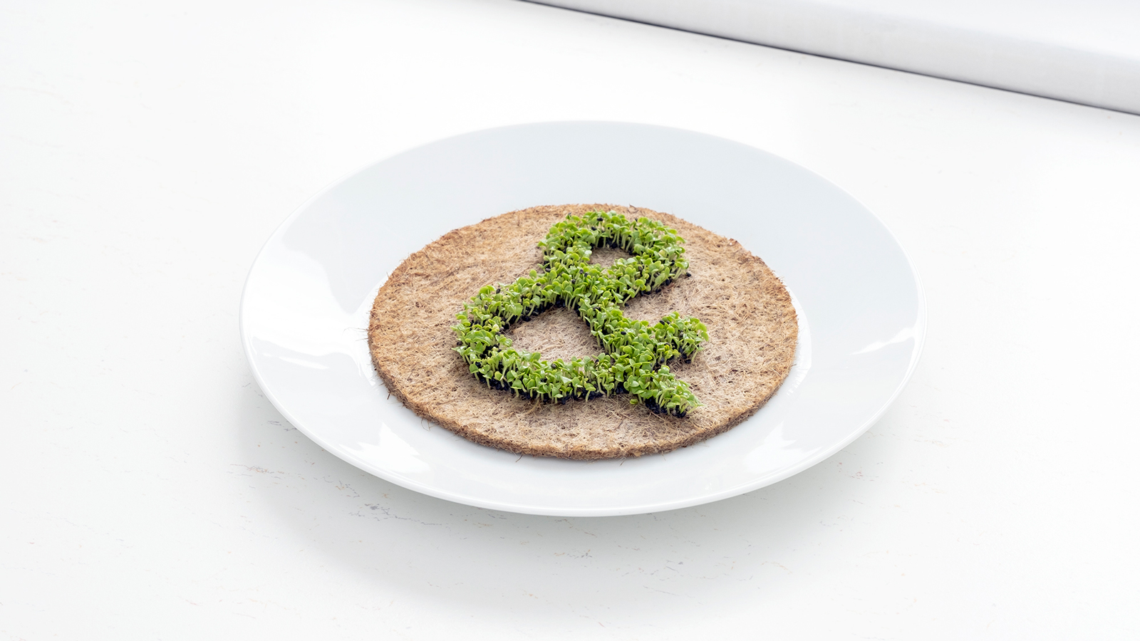 growing_symbols_plus-symbol-product