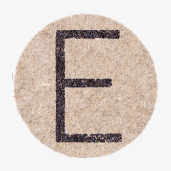 Buchstabe E aus Pflanzensamen die wachsen wenn sie gegossen werden