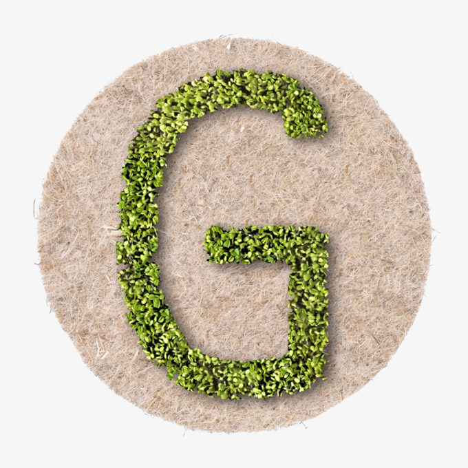 grown letter G with plants. the perfect spring gift