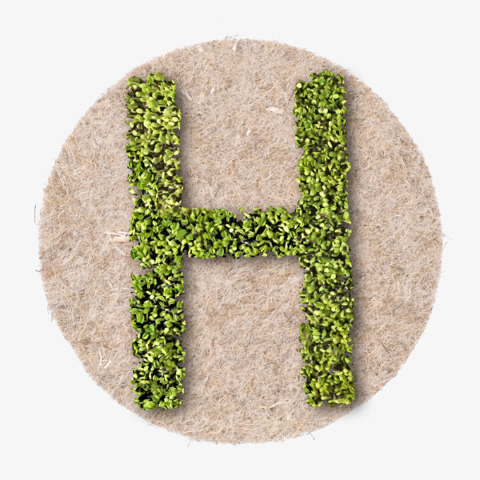 green letter in the shape of an H made with fresh plants