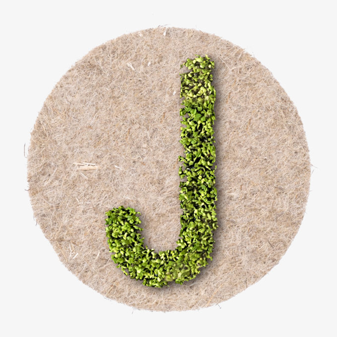 growing design letter. object from green cress seeds as design object