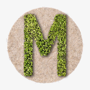 grüner Pflanzen Designer Buchstabe aus WIen