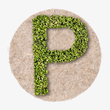 Pflnanzenbuchstabe P