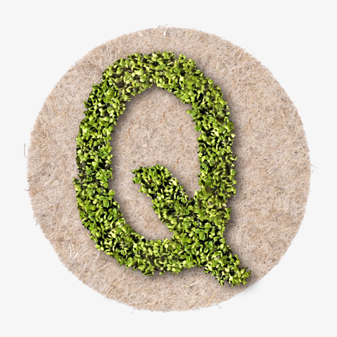 green Q designer letter with growing plants