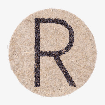 R aus Samen zum wachsen lassen