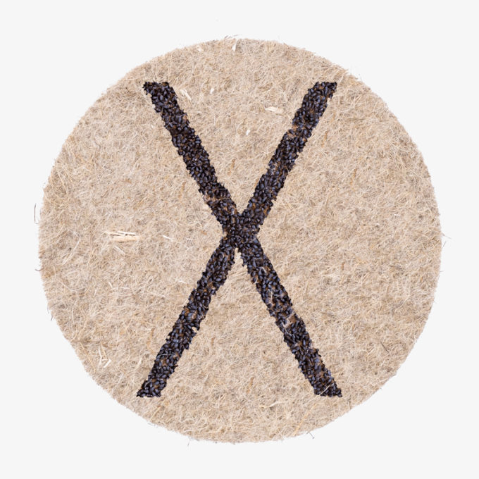 Buchstabe X aus Pflanzensamen