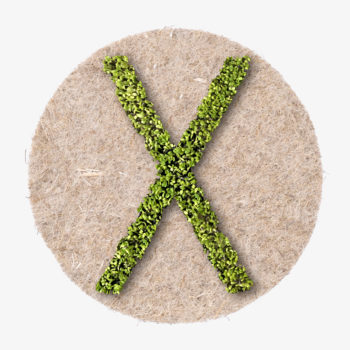 X Buchstabe aus Kresse