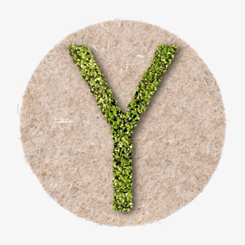 grüner wachsender Buchstabe Y aus Kresse