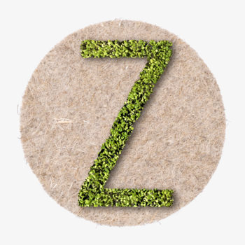 grüner Buchstabe aus Pflanzen zum wachsen lassen