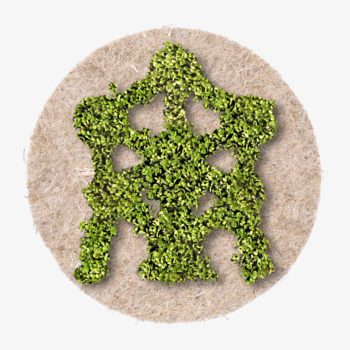 Atomium in brussels made with plant seeds