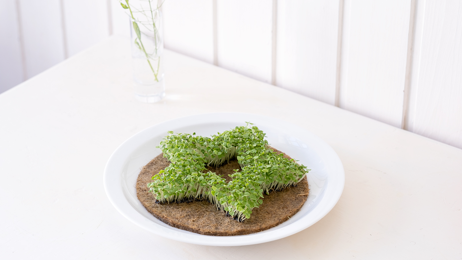 leafling-cress-plant-object_STAR
